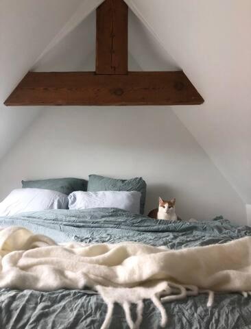 Beautiful Cosy Apartments In The Heart Of Antwerpia Zewnętrze zdjęcie